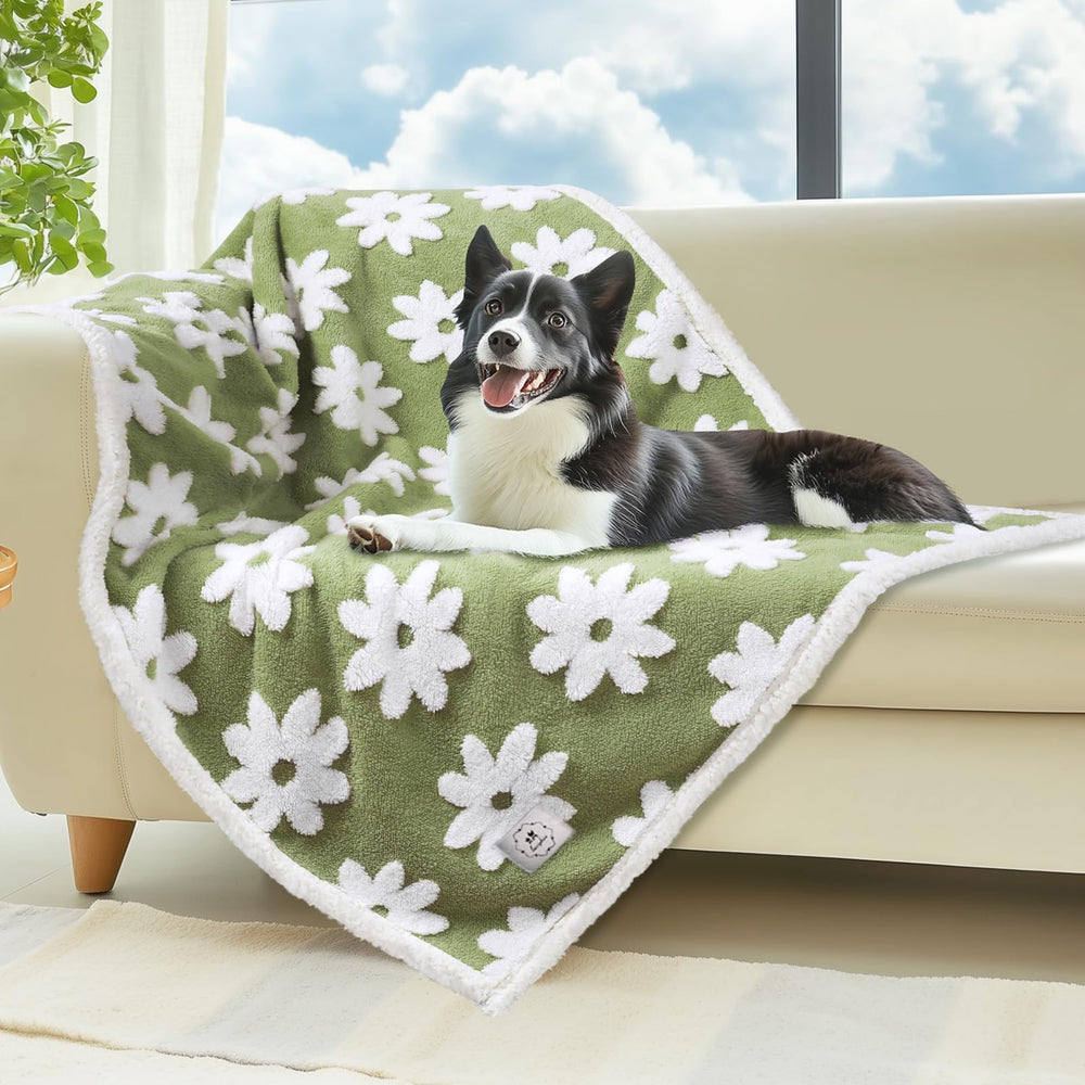Luciphia manta impermeable para perros medianos y grandes protege muebles.