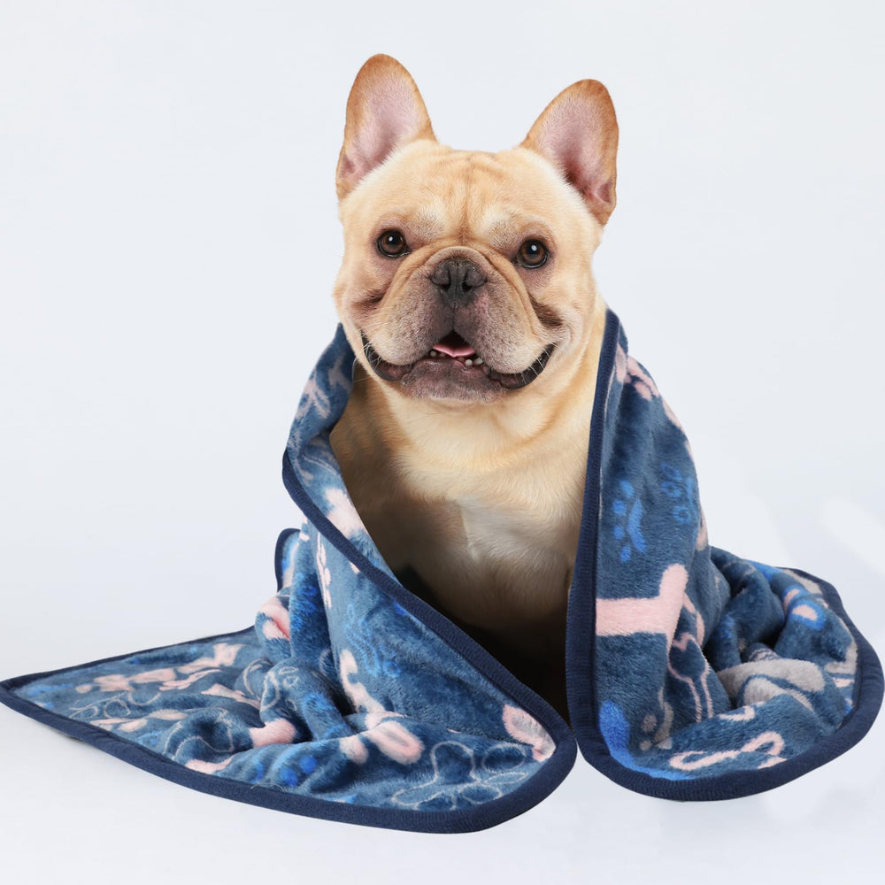 Luciphia protege muebles y reduce pelos de mascotas.