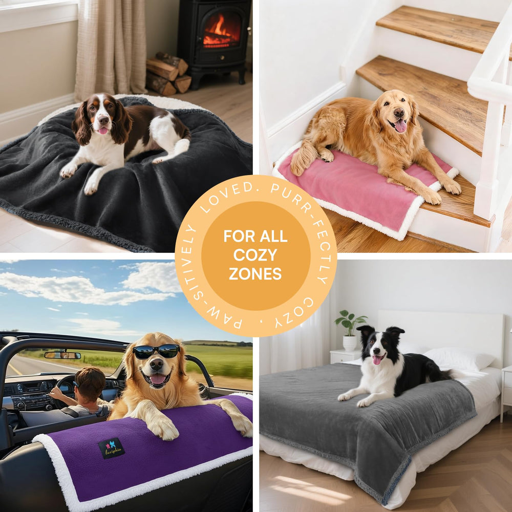Luciphia manta-tallas-diferentes ideal para perros y gatos según tamaño.