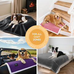 Luciphia manta-tallas-diferentes ideal para perros y gatos según tamaño.