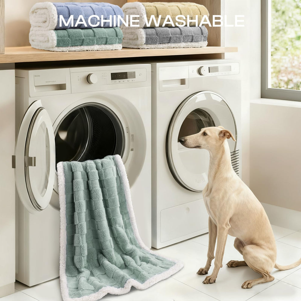 Luciphia ofrece tallas S a XL para mascotas grandes