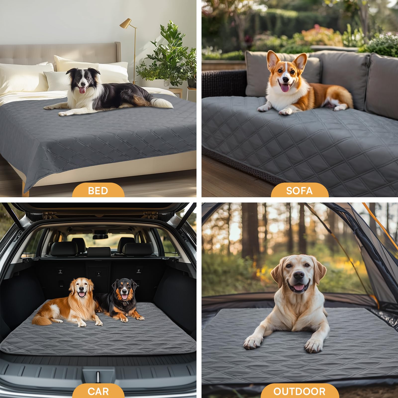 Luciphia uso diario para mascotas: protege muebles sin esfuerzo.