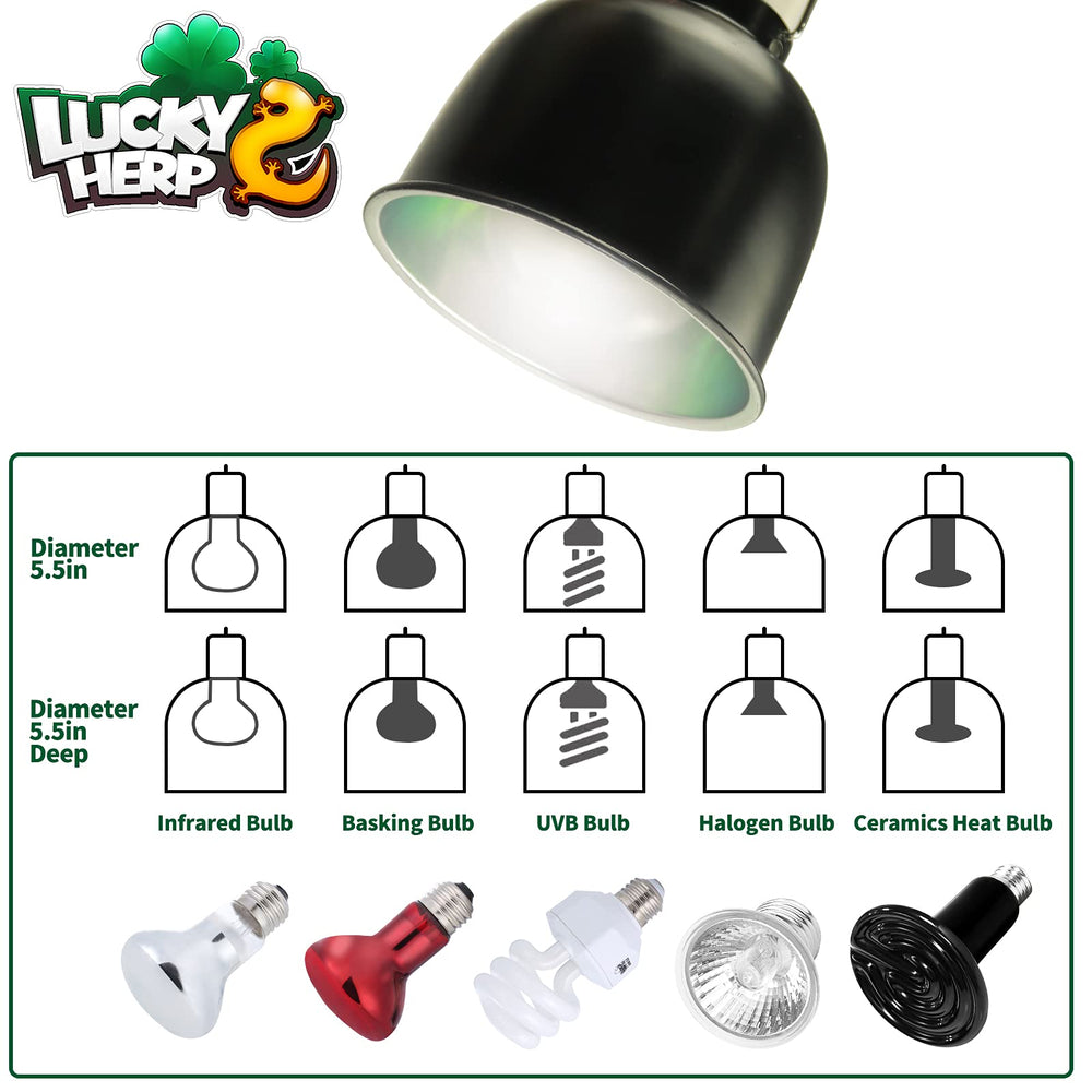 LUCKY HERP soporte de lámpara para UVB y calor en reptiles.