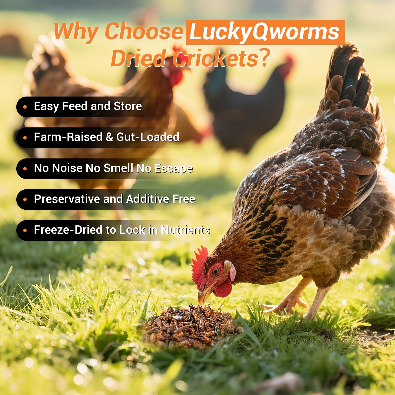 luckqyworms alto proteina y calcio, apoyo para el desarrollo