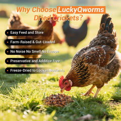 luckqyworms alto proteina y calcio, apoyo para el desarrollo