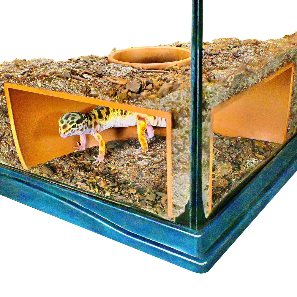 Lucky Critter cueva-subterranea en esquina ofrece visión clara para observar reptiles.
