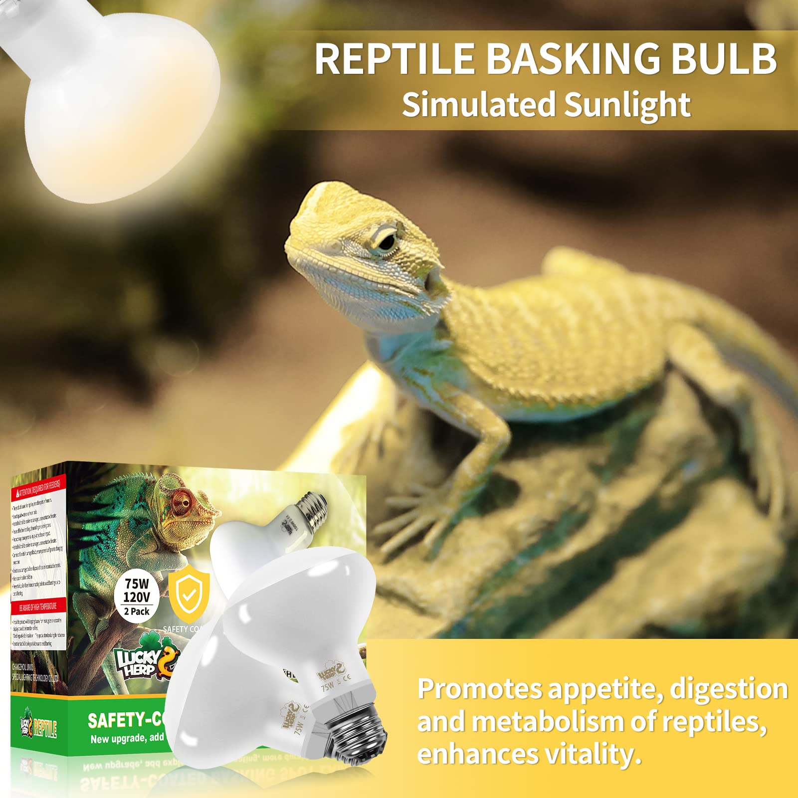 LUCKY HERP Seguridad mejorada con recubrimiento resistente a explosiones