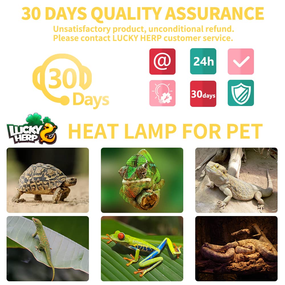 LUCKY HERP Bombilla de calor para tortugas, lagartos y geckos