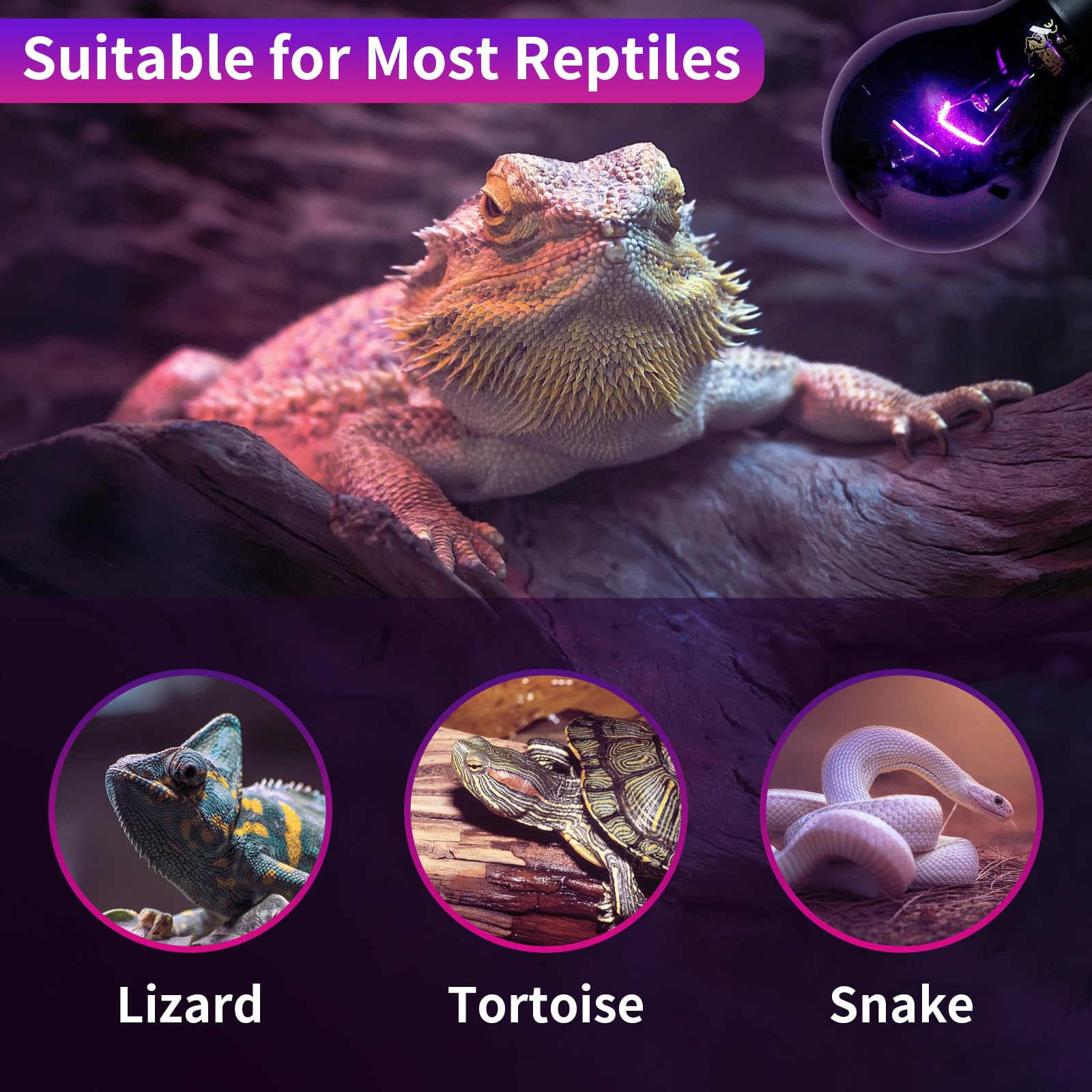 LUCKY HERP durabilidad alta, vida útil larga para uso nocturno