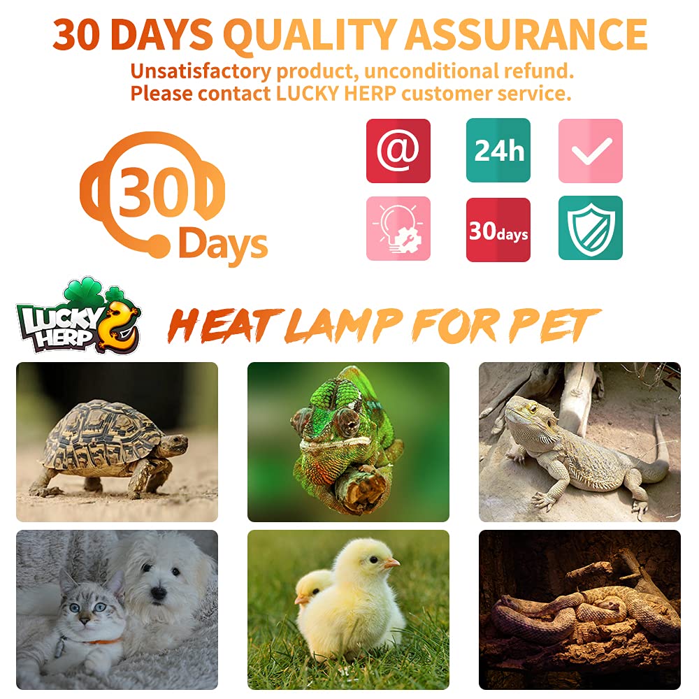 LUCKY HERP emisor calor cerámico 150W, distribución de calor estable en el recinto