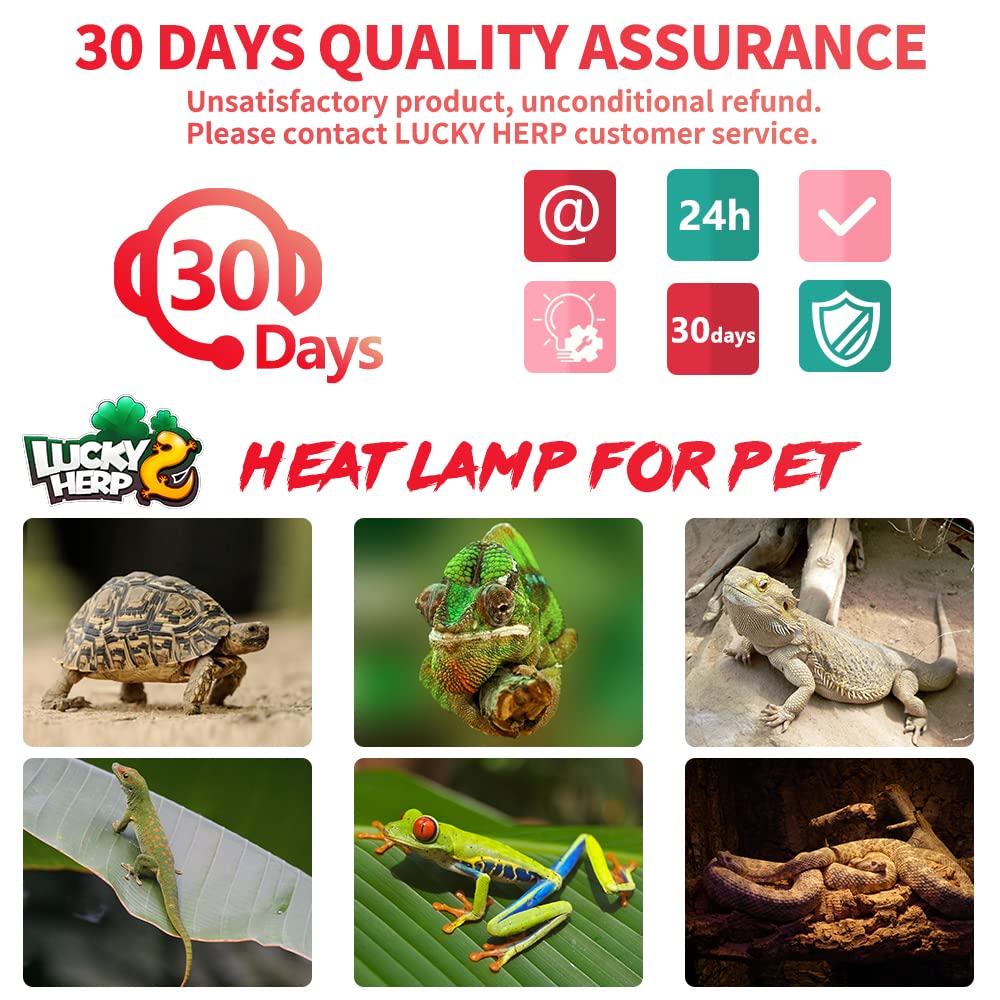 LUCKY HERP 75W lámpara de calor, segura con distancia adecuada.