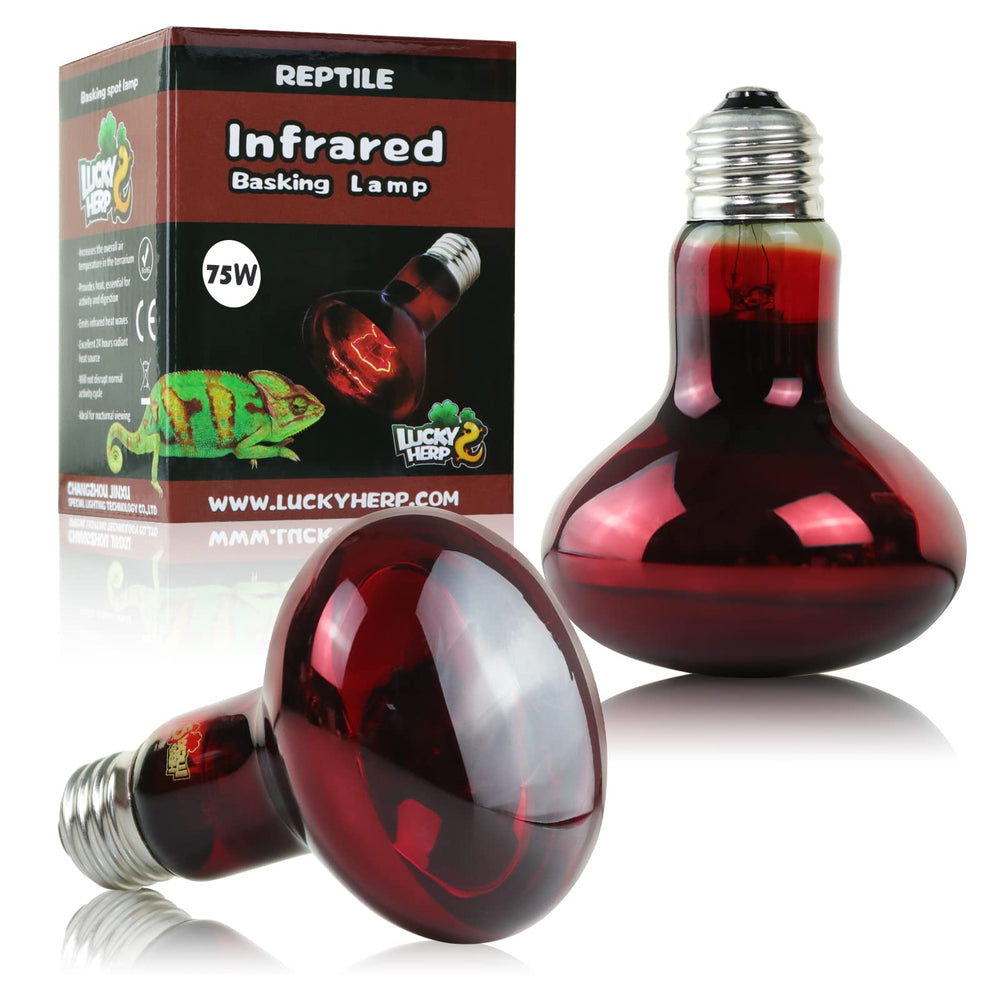 LUCKY HERP 75W lámpara de calor para reptiles, ideal para terrarios y observación nocturna.