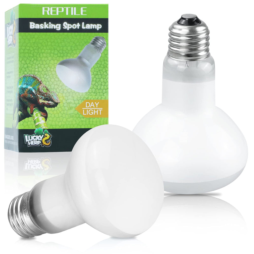 LUCKY HERP lámpara calor reptil 100W Gen 2 en acción para hábitat cálido