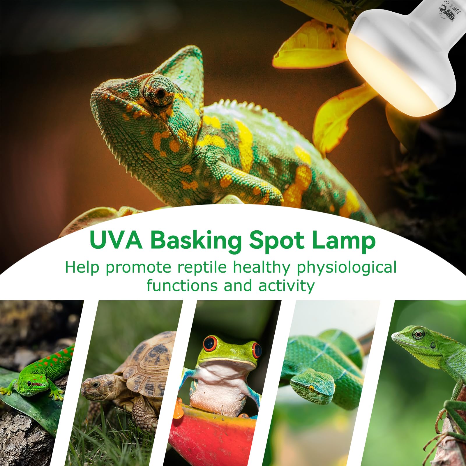 LUCKY HERP recubrimiento ocular protege ojos del reptil reduciendo deslumbramiento.