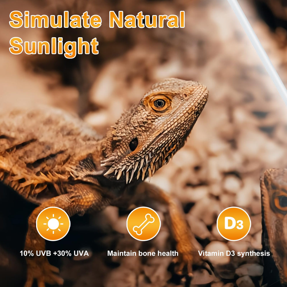 LUCKY HERP iluminación amplia para terrarios de distintos tamaños