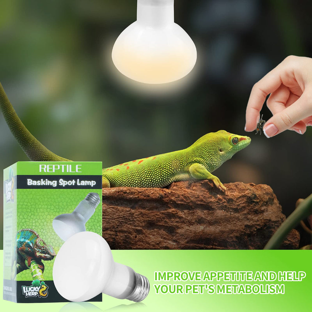LUCKY HERP zona-sol reptil para confort y termorregulación