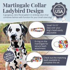 Collar martingale Lucky Love Dog en mariquita pequeño, sin deslizamiento para mayor control durante caminatas.