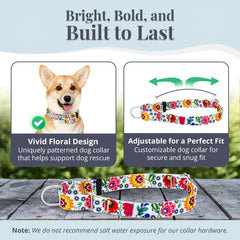 Diseño hippie Lucky Love Dog en mariquita, ideal para expresar personalidad con comodidad durante paseos.