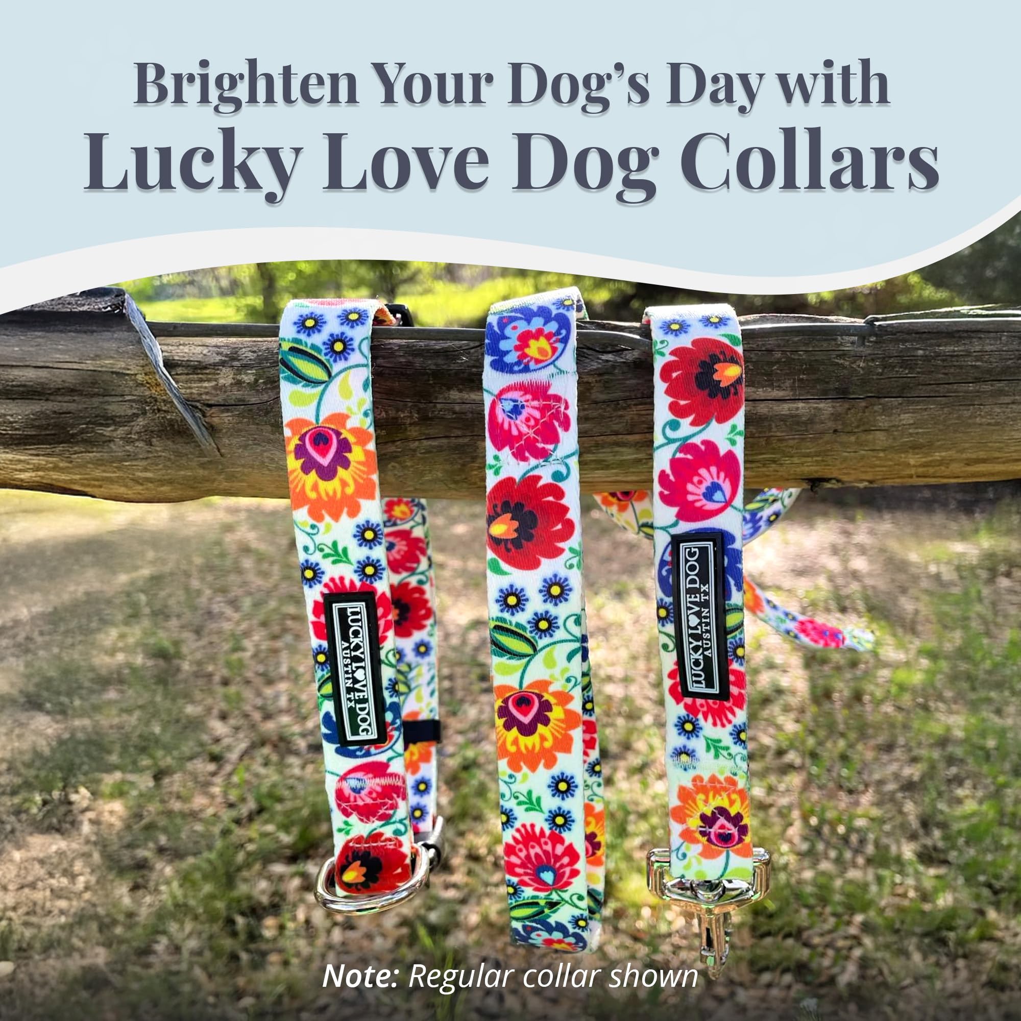 Collar Lucky Love Dog martingale mariquita, lavable a máquina para mantener colores vibrantes.