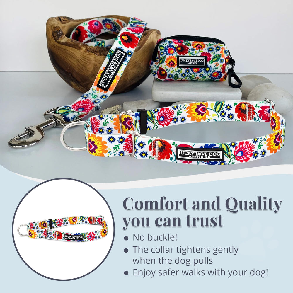 Material duradero Lucky Love Dog, collar suave mariquita, ideal para uso diario.