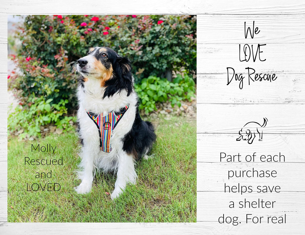 Compra Lucky Love Dog apoya a refugios y rescates.