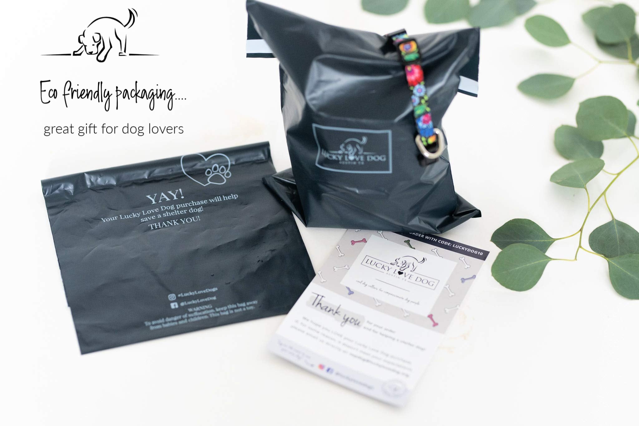 Correa Lucky Love Dog de 5 pies para caminatas y paseos
