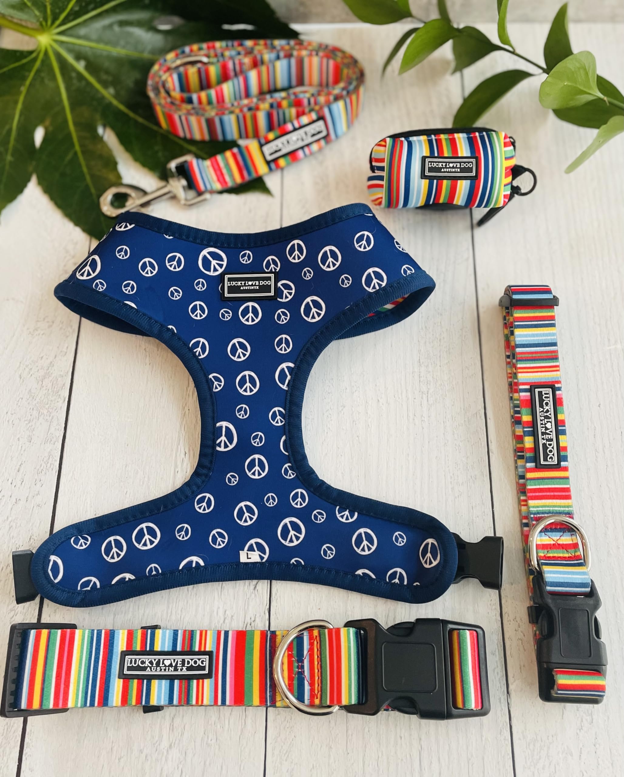 Detalle de la correa Lucky Love Dog resistente para caminatas largas