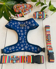 Detalle de la correa Lucky Love Dog resistente para caminatas largas