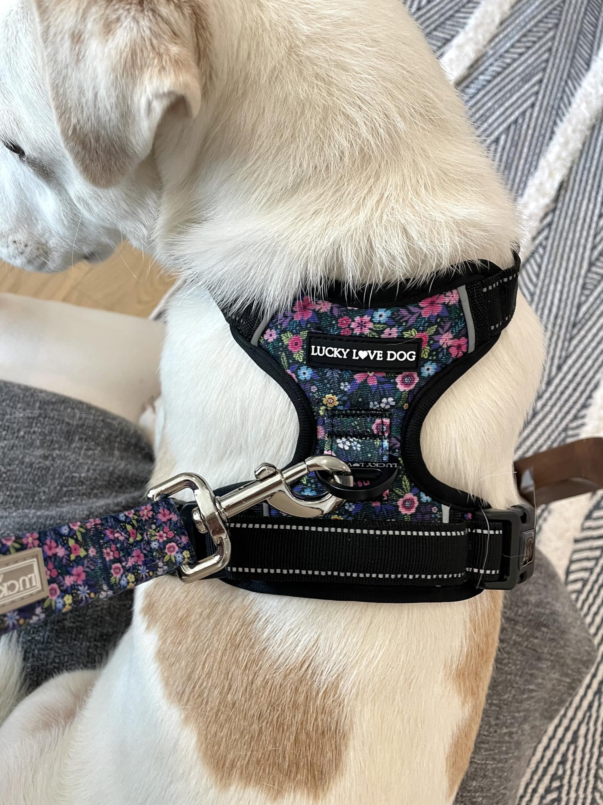 Arnés Lucky Love Dog doble enganche delantero y trasero.