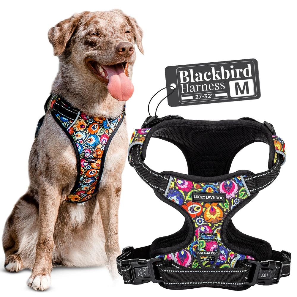 Arnés Easy Walker de Lucky Love Dog, frente visible para paseos controlados.
