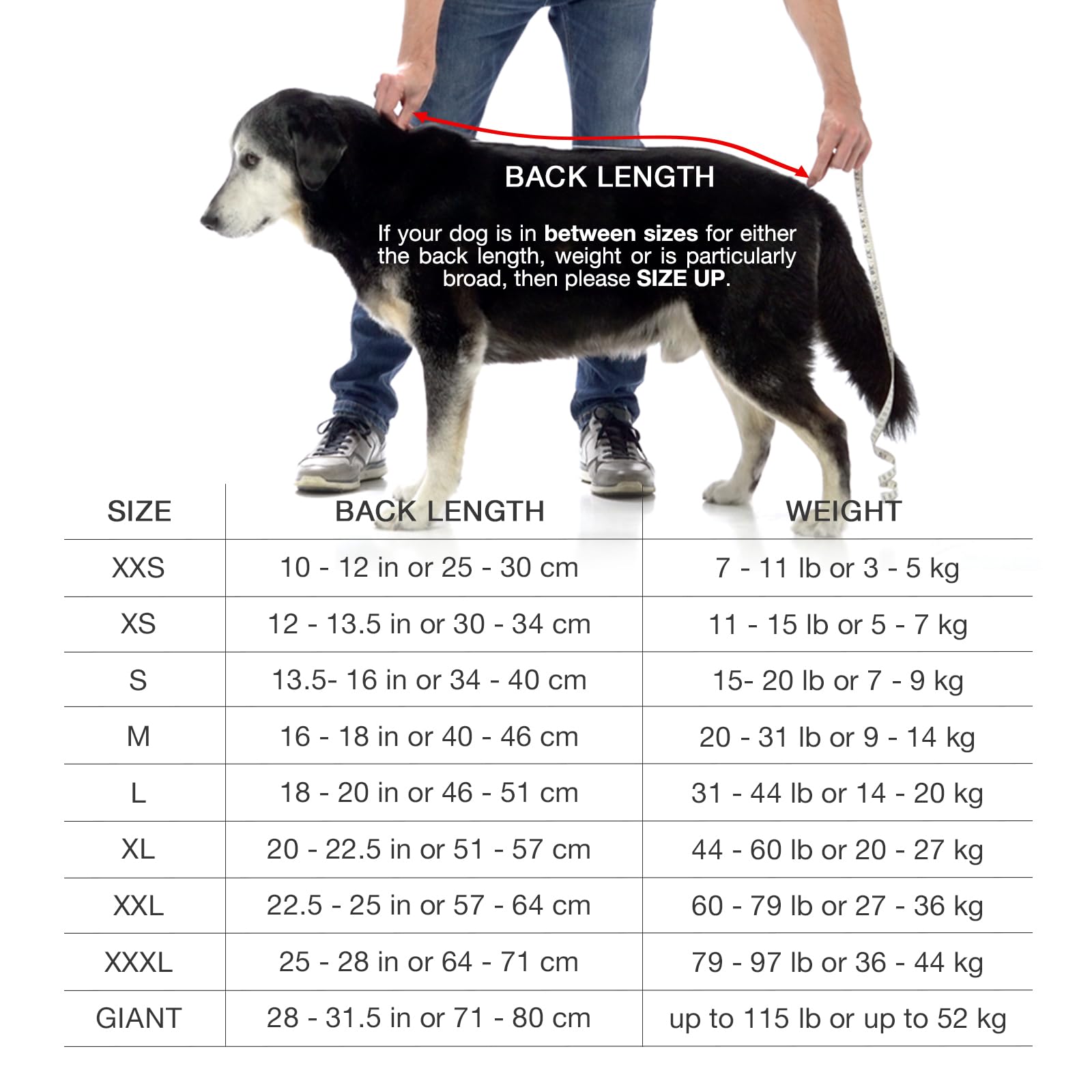 Bata Lucky Pooch con cierres velcro de alta calidad.