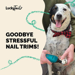 LUCKY TAIL Afilador silencioso y de baja vibración para sesiones tranquilas