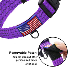 LUCKYDC Collar con bandera de EE. UU., diseño distintivo para amantes de perros.