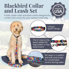 Lucky Love Dog collar con hebilla de clic para colocar y quitar rápidamente.