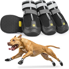 Mide la anchura y longitud de la pata con LUCKYPAW para un ajuste preciso.