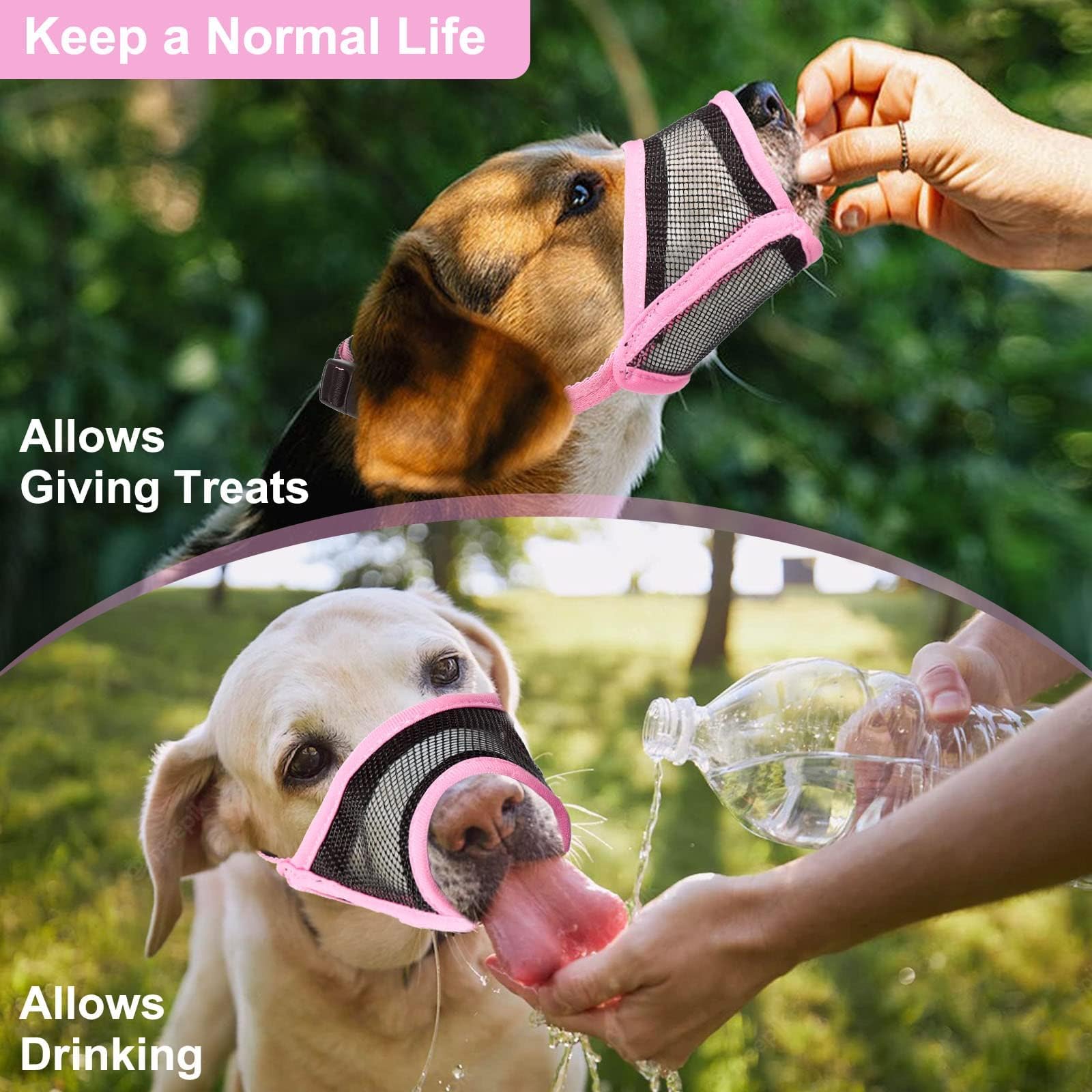 LUCKYPAW bozal para uso diario en casa y al aire libre