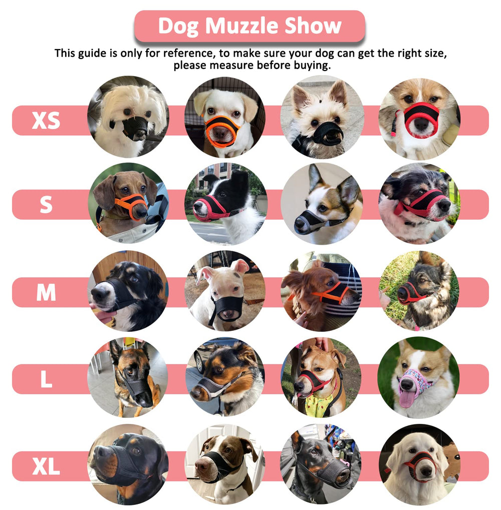 LUCKYPAW bozal con instrucciones completas para un uso seguro