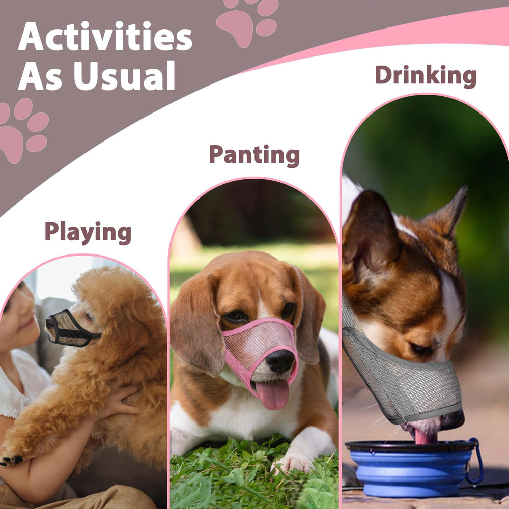 LUCKYPAW uso para aseo, veterinario y entrenamiento