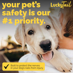 LuckyTail cabezal suave para uñas delicadas, acabado liso y seguro.