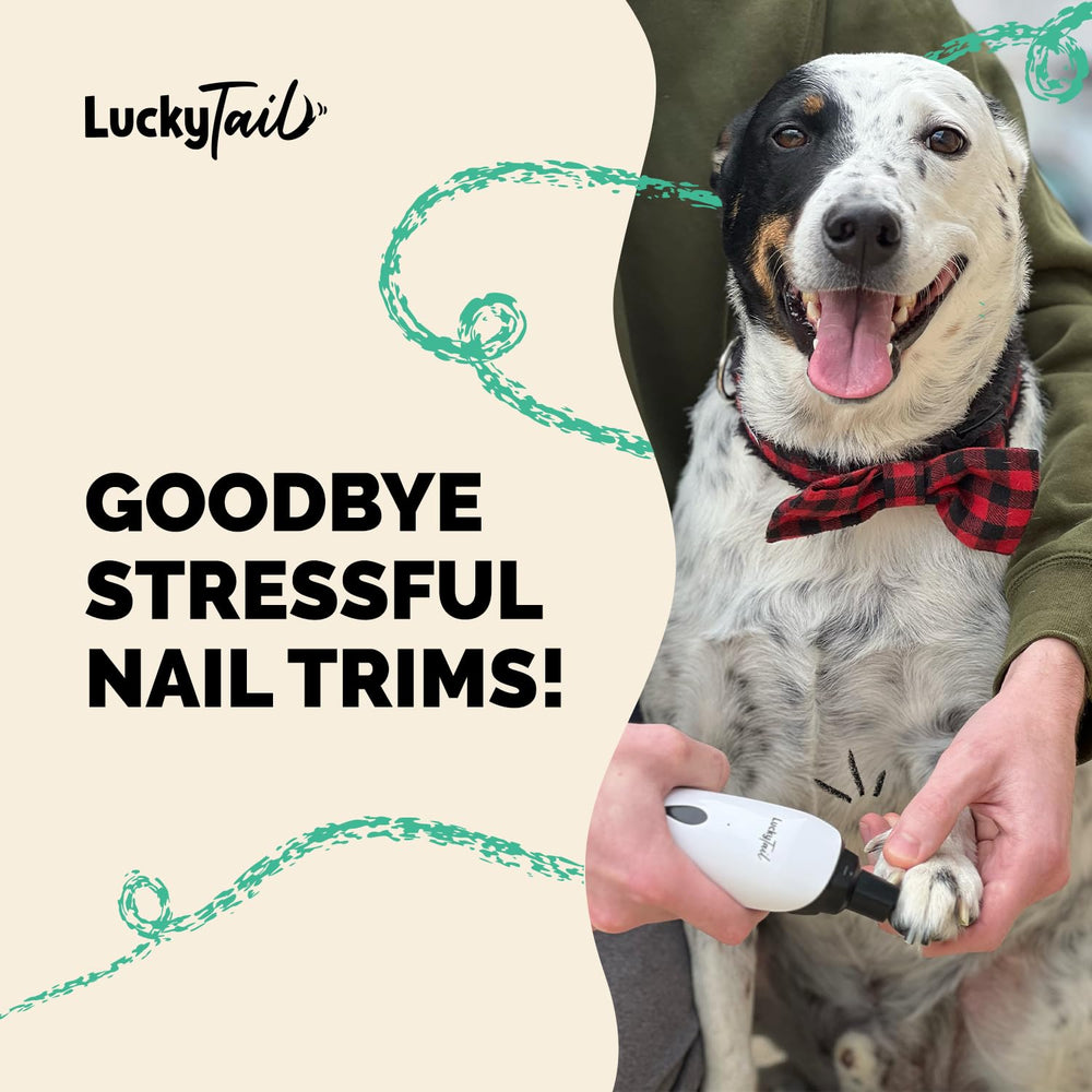LuckyTail uso doméstico seguro y cómodo para mascotas.