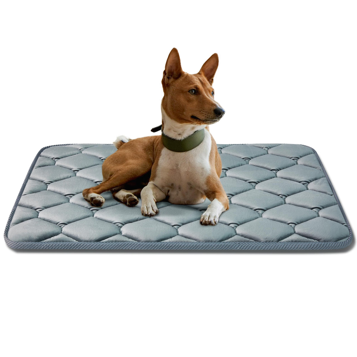 Luckyvo almohadilla para jaula para perros 35x22, descanso cómodo