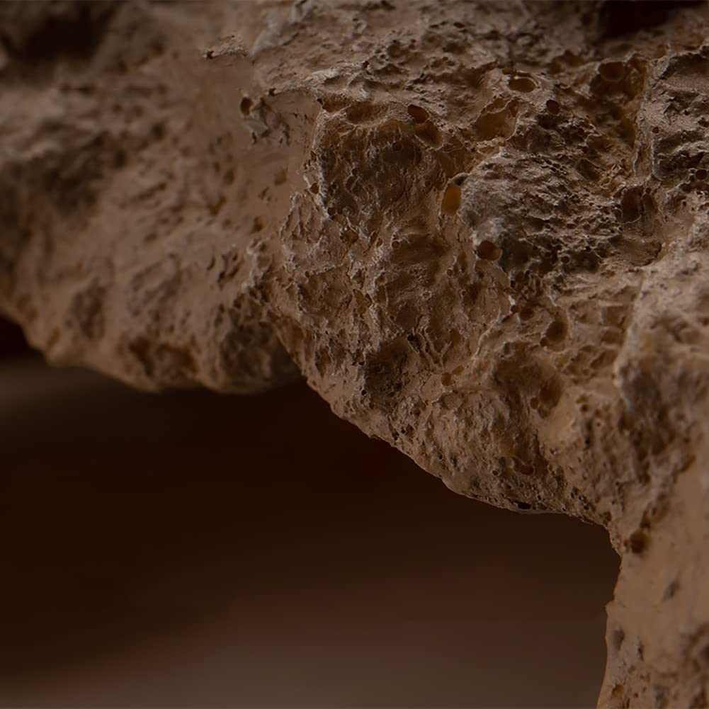 LUCOSIU cueva de roca para tortugas y lagartos