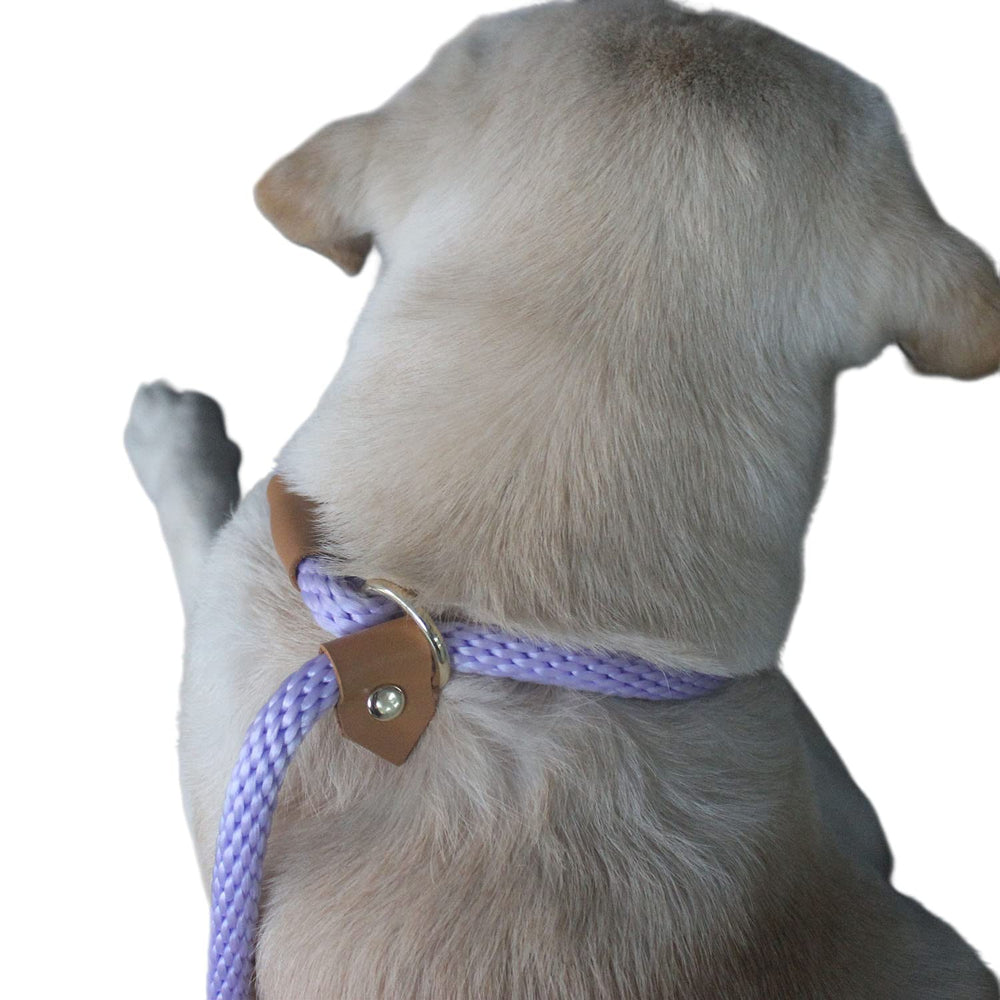 Lucpawz colores lujosos para estilo único durante caminatas.