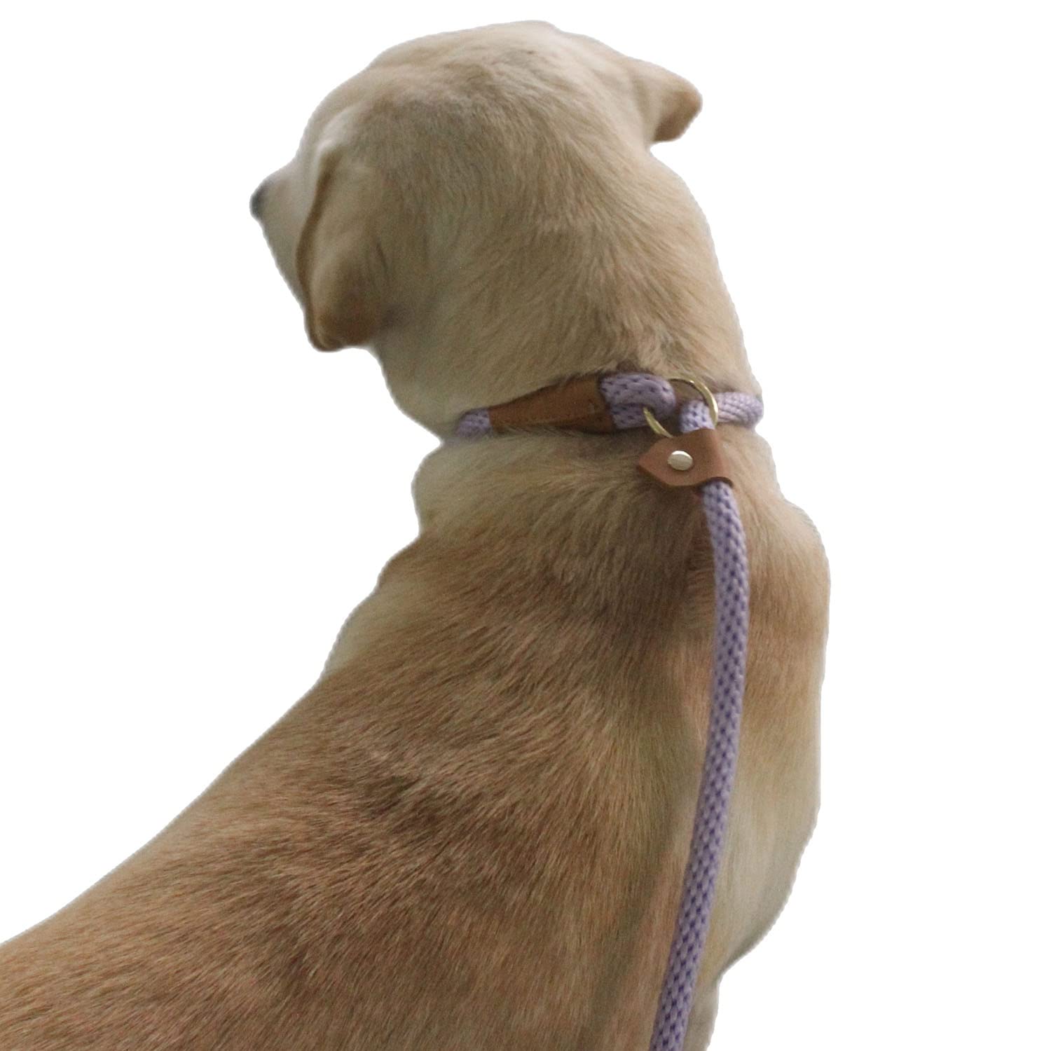 Lucpawz uso diario para paseo y entrenamiento con diseño práctico.