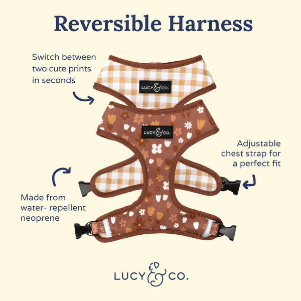 Lucy & Co arnés acolchado con ajuste cómodo para perros pequeños.