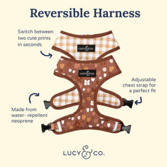 Lucy & Co arnés acolchado con ajuste cómodo para perros pequeños.