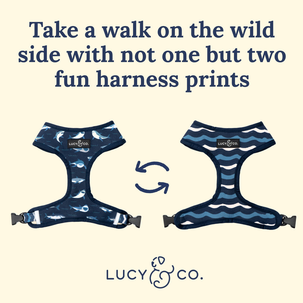 Arnés Lucy & Co. con diseño llamativo, ideal para destacar durante caminatas.