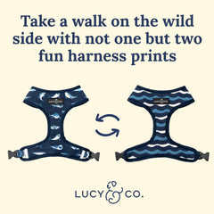 Arnés Lucy & Co. con diseño llamativo, ideal para destacar durante caminatas.