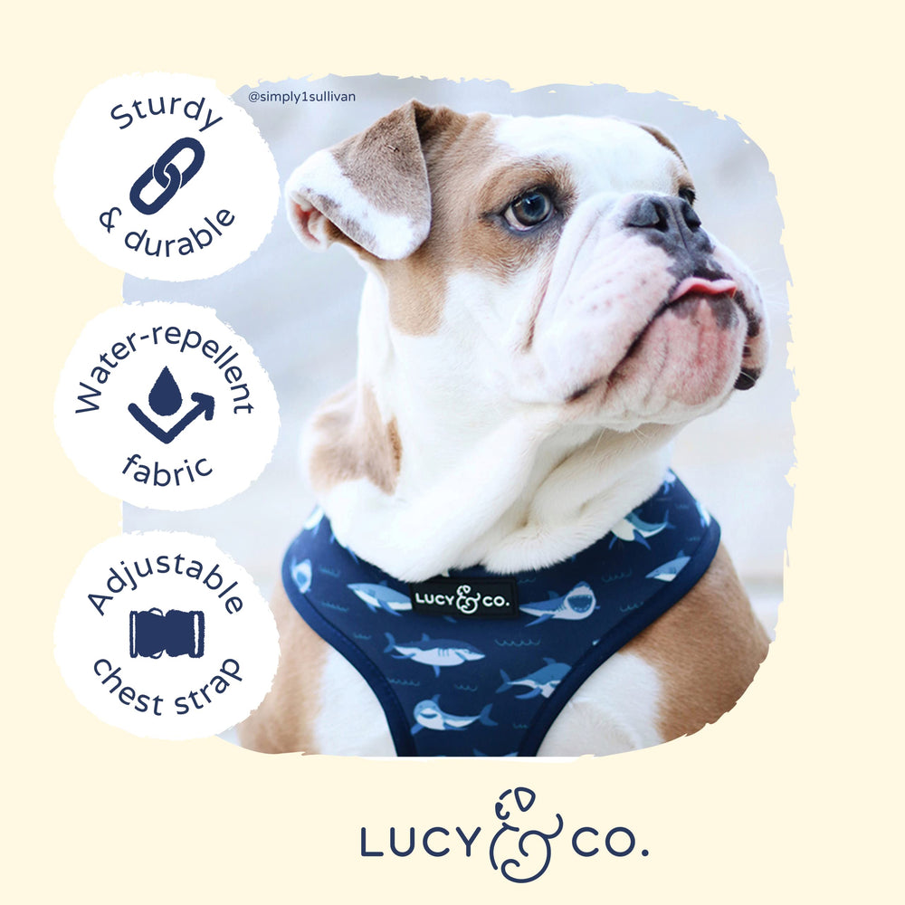 Arnés ligero y transpirable Lucy & Co. para mantener al perro cómodo al ejercitarse.