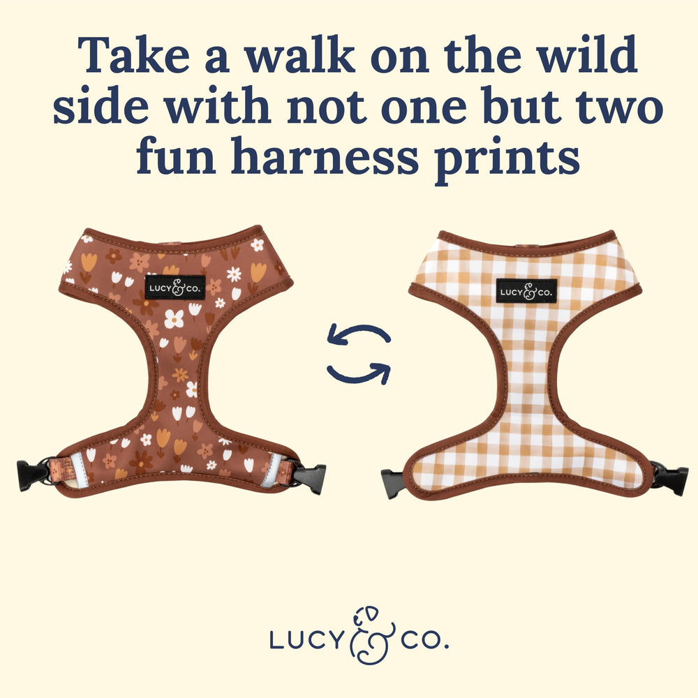 Lucy & Co arnés ligero y transpirable para caminar con libertad.